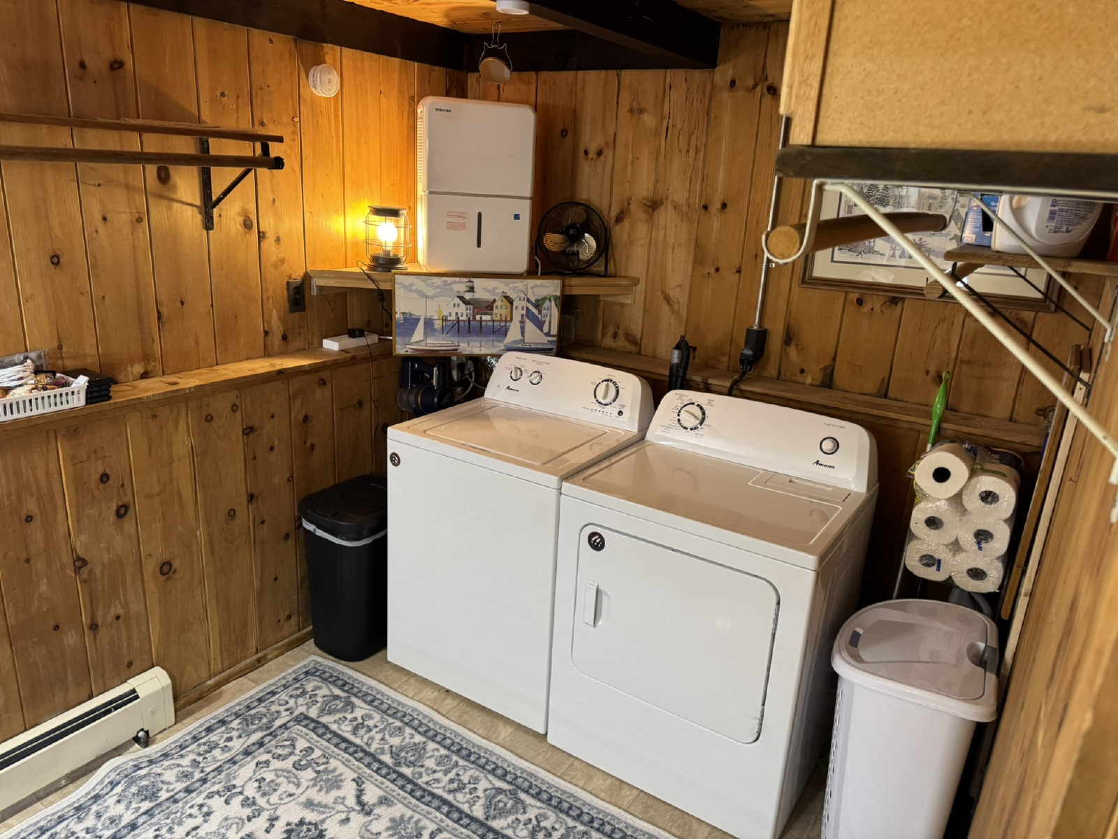 washer-dryer Eidelweiss Washer and Dryer